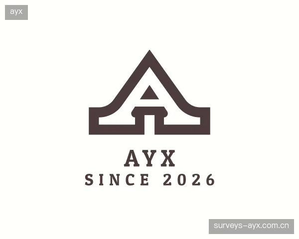 认识ayx机构